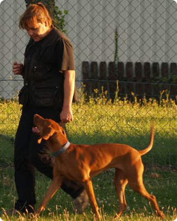 14733114-riki-klade-hund-finny2