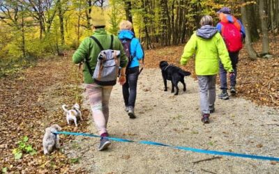 Social Walk am 25.10.2025